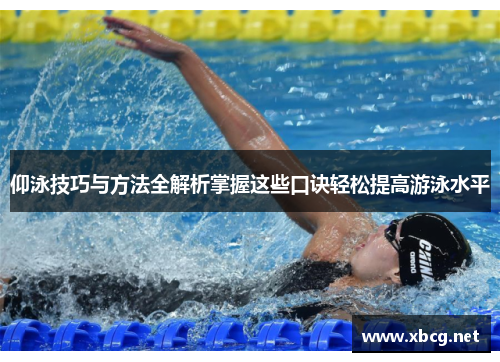 仰泳技巧与方法全解析掌握这些口诀轻松提高游泳水平