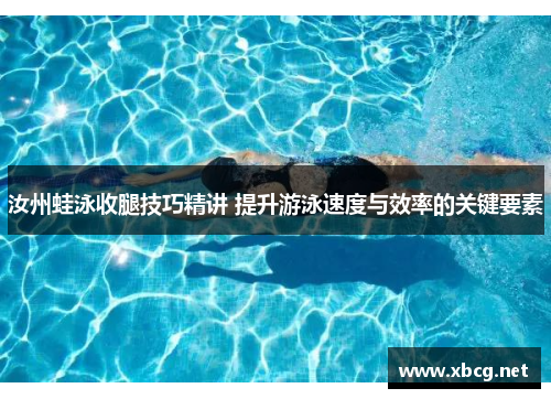 汝州蛙泳收腿技巧精讲 提升游泳速度与效率的关键要素